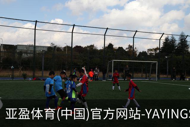 亚盈体育(中国)官方网站-YAYINGSPORTS简介